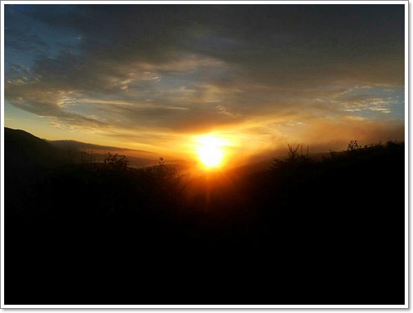 ����� ����