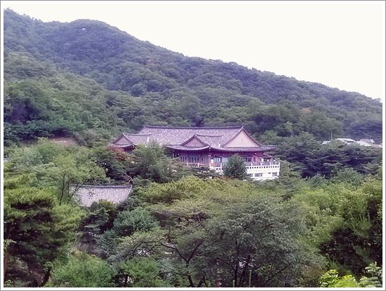 �����ο�