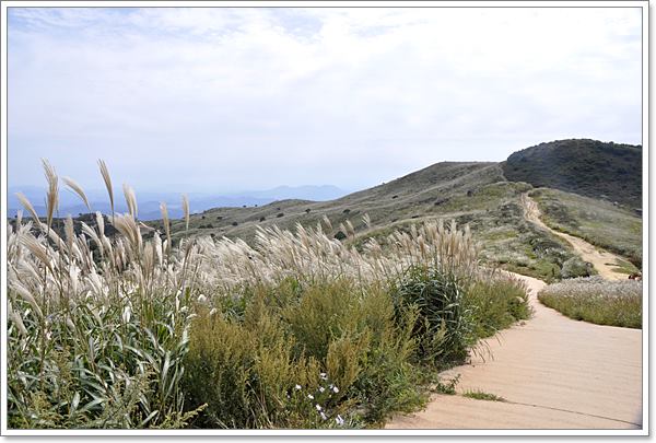 ���� Ȳ�Ż�