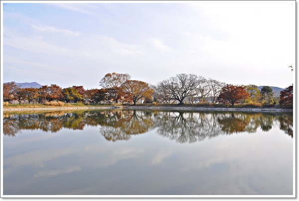 ���� �� ����