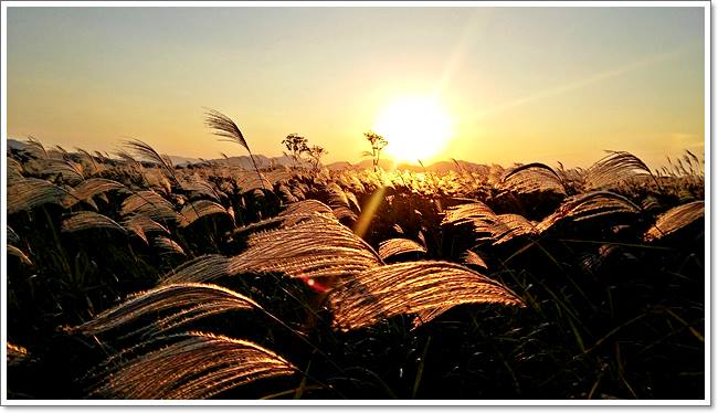 ������ ���� ���