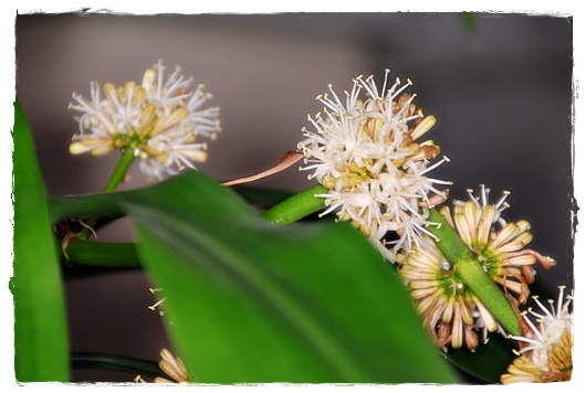 ��� �λ꼱�� �����