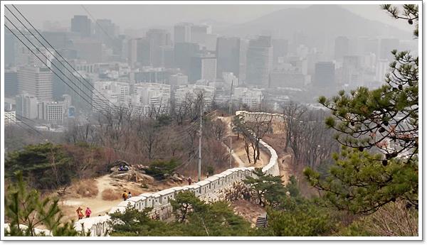 �ο�(����)