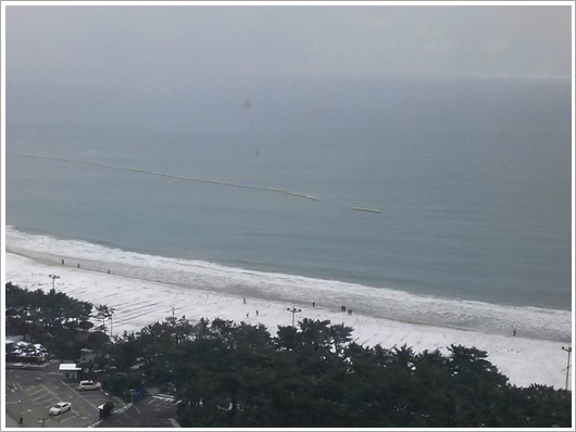 �鼳�� �ؿ��